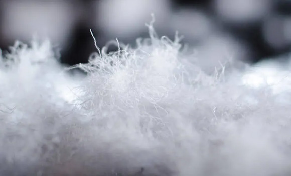 Sustainable Innovation